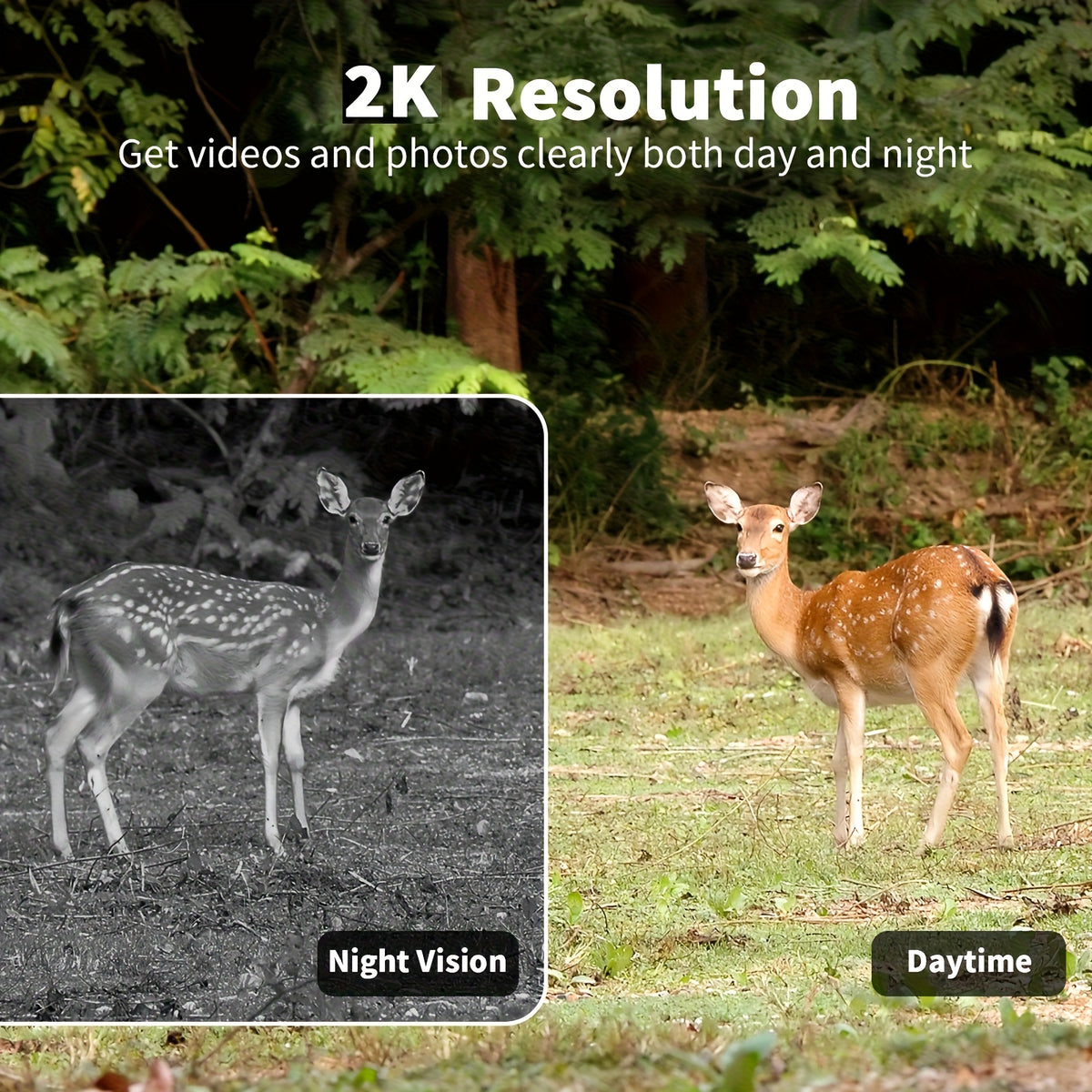 4G Trail Camera Wireless Outdoor – 2K 1440p Solar Security Camera, No-Glow Night Vision 75ft, 0.2s Trigger, Built-In SIM, No WiFi Needed | 1, 2 & 4-Pack Options