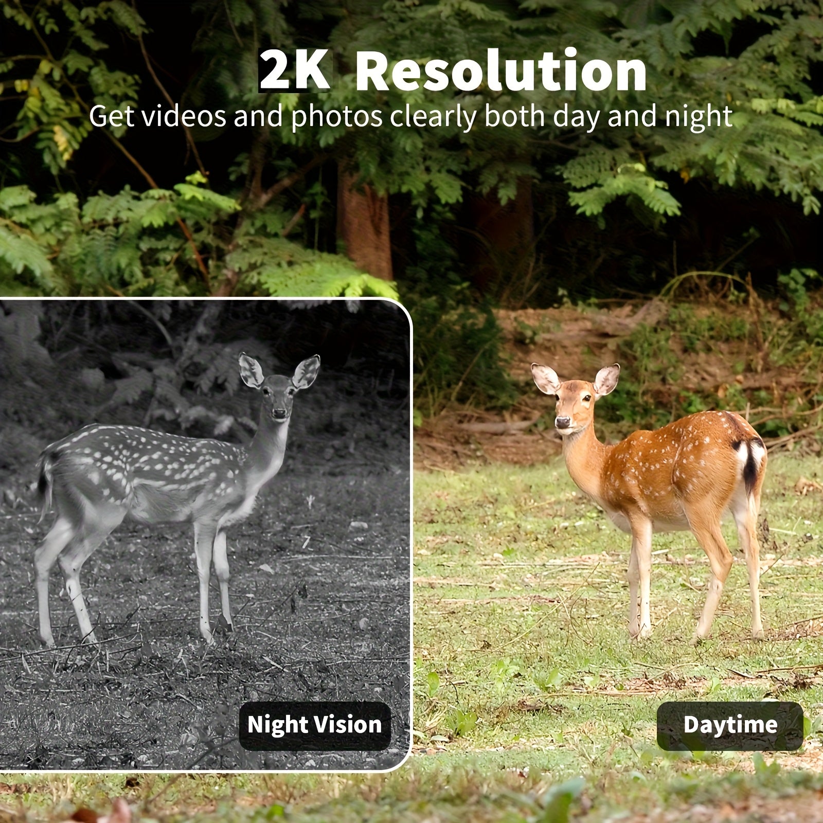 4G Trail Camera Wireless Outdoor – 2K 1440p Solar Security Camera, No-Glow Night Vision 75ft, 0.2s Trigger, Built-In SIM, No WiFi Needed | 1, 2 & 4-Pack Options