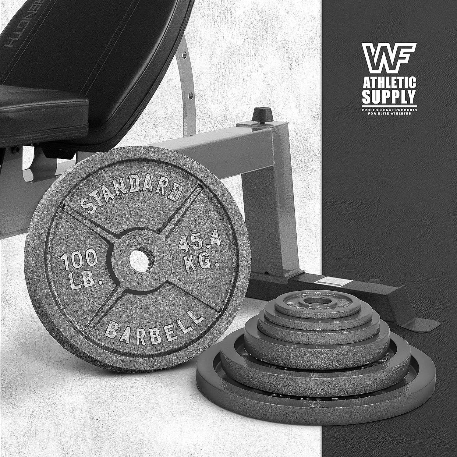 CAPHAUS 2-Inch Solid Cast Iron Weight Plates for Strength Training Weightlifting Bodybuilding Powerlifting - Grey Baked Enamel Barbell Plates 2.5LB 5LB 10LB 25LB 35LB 45LB 100LB Single & Sets