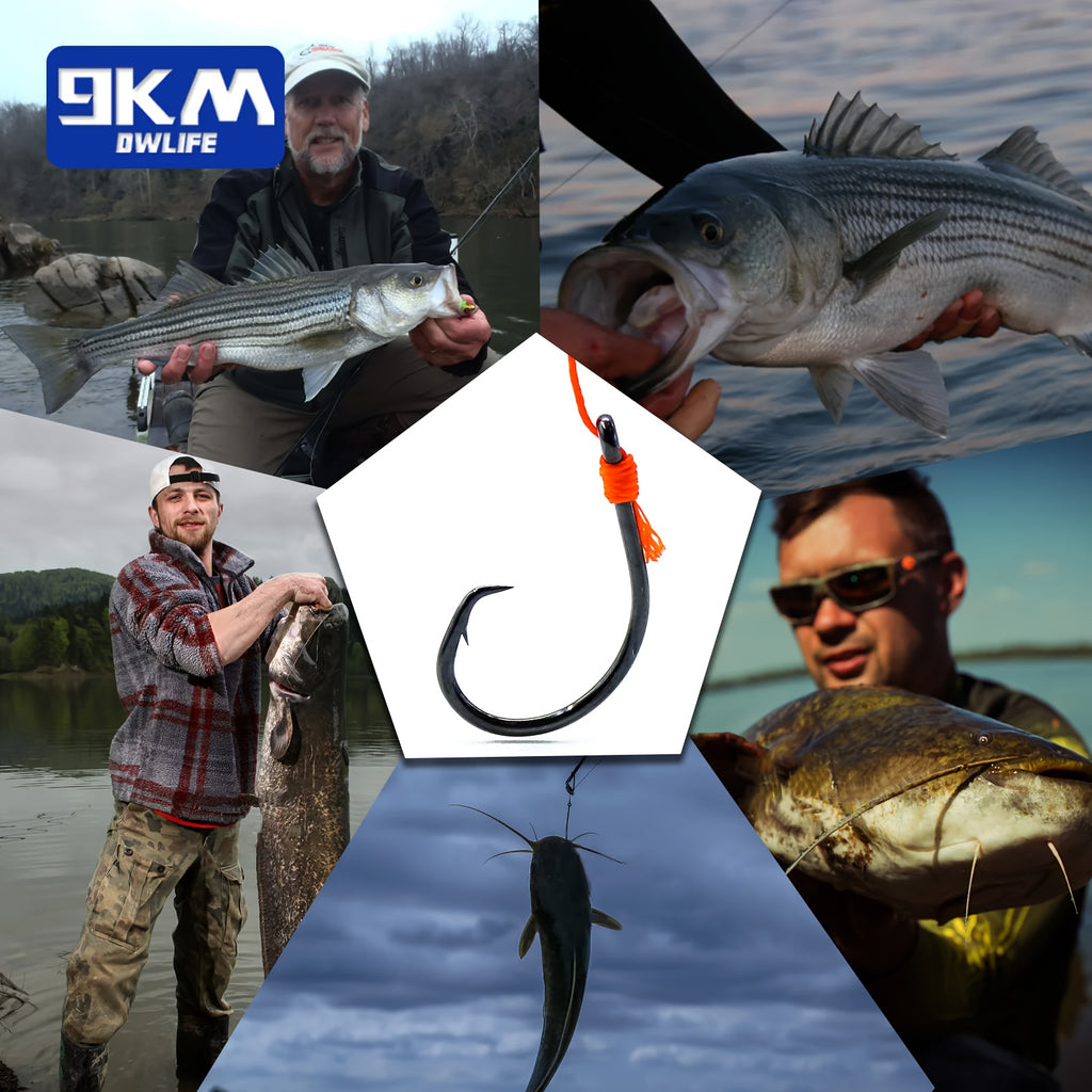 Circle Hooks for Fishing 50 Pack – High Carbon Steel Wide Gap Non-Offset Bait Hooks for Catfish, Bass, Salmon, Trout, Saltwater & Freshwater, Sizes 1# to 6/0#, Catch & Release Friendly